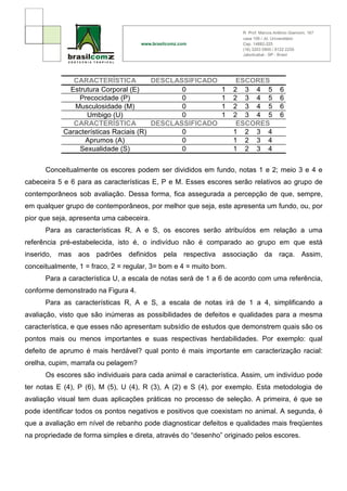 CARACTERÍSTICA           DESCLASSIFICADO             ESCORES
              Estrutura Corporal (E)           0        1          2 3 4 5      6
                Precocidade (P)                0        1          2 3 4 5      6
               Musculosidade (M)               0        1          2 3 4 5      6
                   Umbigo (U)                  0        1          2 3 4 5      6
               CARACTERÍSTICA           DESCLASSIFICADO             ESCORES
            Características Raciais (R)        0                   1 2 3 4
                   Aprumos (A)                 0                   1 2 3 4
                 Sexualidade (S)               0                   1 2 3 4


      Conceitualmente os escores podem ser divididos em fundo, notas 1 e 2; meio 3 e 4 e
cabeceira 5 e 6 para as características E, P e M. Esses escores serão relativos ao grupo de
contemporâneos sob avaliação. Dessa forma, fica assegurada a percepção de que, sempre,
em qualquer grupo de contemporâneos, por melhor que seja, este apresenta um fundo, ou, por
pior que seja, apresenta uma cabeceira.
      Para as características R, A e S, os escores serão atribuídos em relação a uma
referência pré-estabelecida, isto é, o indivíduo não é comparado ao grupo em que está
inserido, mas aos padrões definidos pela respectiva associação da raça. Assim,
conceitualmente, 1 = fraco, 2 = regular, 3= bom e 4 = muito bom.
      Para a característica U, a escala de notas será de 1 a 6 de acordo com uma referência,
conforme demonstrado na Figura 4.
      Para as características R, A e S, a escala de notas irá de 1 a 4, simplificando a
avaliação, visto que são inúmeras as possibilidades de defeitos e qualidades para a mesma
característica, e que esses não apresentam subsídio de estudos que demonstrem quais são os
pontos mais ou menos importantes e suas respectivas herdabilidades. Por exemplo: qual
defeito de aprumo é mais herdável? qual ponto é mais importante em caracterização racial:
orelha, cupim, marrafa ou pelagem?
      Os escores são individuais para cada animal e característica. Assim, um indivíduo pode
ter notas E (4), P (6), M (5), U (4), R (3), A (2) e S (4), por exemplo. Esta metodologia de
avaliação visual tem duas aplicações práticas no processo de seleção. A primeira, é que se
pode identificar todos os pontos negativos e positivos que coexistam no animal. A segunda, é
que a avaliação em nível de rebanho pode diagnosticar defeitos e qualidades mais freqüentes
na propriedade de forma simples e direta, através do “desenho” originado pelos escores.
 
