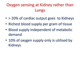 Oxygen sensing at Kidney rather than 
Lungs 
• > 20% of cardiac output goes to Kidneys 
• Richest blood supply per gram of tissue 
• Blood supply independent of metabolic 
demand 
• 10% of oxygen supply only is utilised by 
Kidneys 
 
