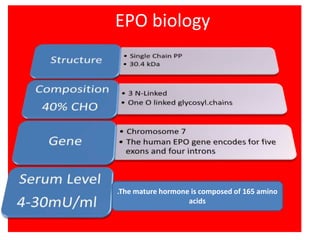 EPO biology 
.The mature hormone is composed of 165 amino 
acids 
 