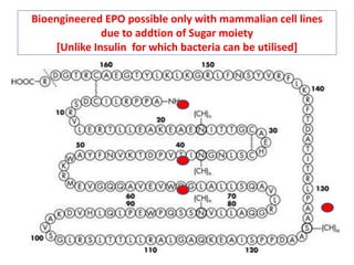 Bioengineered EPO possible only with mammalian cell lines 
due to addtion of Sugar moiety 
[Unlike Insulin for which bacteria can be utilised] 
 