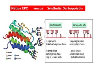 Native EPO versus Synthetic Darbopoietin 
 