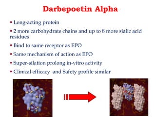 Darbepoetin Alpha 
 Long-acting protein 
 2 more carbohydrate chains and up to 8 more sialic acid 
residues 
 Bind to same receptor as EPO 
 Same mechanism of action as EPO 
 Super-silation prolong in-vitro activity 
 Clinical efficacy and Safety profile similar 
 