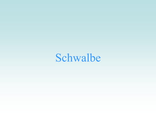 Schwalbe
 