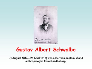 Gustav Albert Schwalbe
(1 August 1844 – 23 April 1916) was a German anatomist and
anthropologist from Quedlinburg.
 