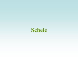 Scheie
 