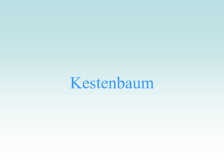 Kestenbaum
 