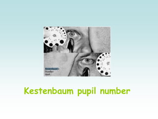 Kestenbaum pupil number
 