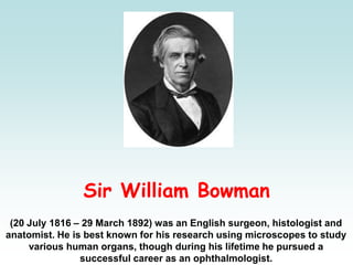 Sir William Bowman
(20 July 1816 – 29 March 1892) was an English surgeon, histologist and
anatomist. He is best known for his research using microscopes to study
various human organs, though during his lifetime he pursued a
successful career as an ophthalmologist.
 