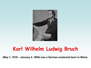 Karl Wilhelm Ludwig Bruch
(May 1, 1819 – January 4, 1884) was a German anatomist born in Mainz.
 