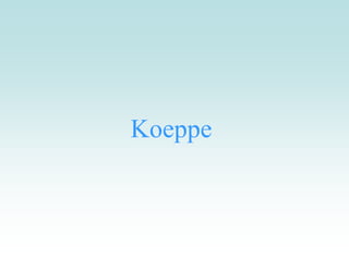 Koeppe
 