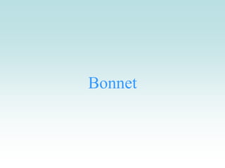 Bonnet
 