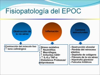 - Contracción del músculo liso -    tono colinérgico - Stress oxidativo -    Neutrófilos  -    Macrófagos -    linfocitos CD8+  -    IL-8 y TNF-    - Disbalance Proteasas/ antiproteasas - Destrucción alveolar Pérdida del retroceso elástico - Depósito de colágeno - Fibrosis de la vía aérea - Hipertrofia glandular - Folículos linfáticos Obstrucción de la vía aérea Inflamación Cambios estructurales 