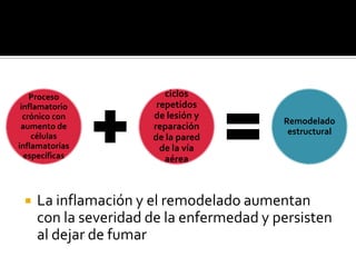 La inflamación y el remodelado aumentan con la severidad de la enfermedad y persisten al dejar de fumar