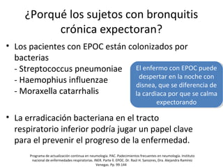 ¿Porqué los sujetos con bronquitis
crónica expectoran?
• Los pacientes con EPOC están colonizados por
bacterias
- Streptococcus pneumoniae
- Haemophius influenzae
- Moraxella catarrhalis
• La erradicación bacteriana en el tracto
respiratorio inferior podría jugar un papel clave
para el prevenir el progreso de la enfermedad.
El enfermo con EPOC puede
despertar en la noche con
disnea, que se diferencia de
la cardiaca por que se calma
expectorando
El enfermo con EPOC puede
despertar en la noche con
disnea, que se diferencia de
la cardiaca por que se calma
expectorando
Programa de actualización continua en neumología. PAC. Padecimientos frecuentes en neumología. Instituto
nacional de enfermedades respiratorias. INER. Parte ll. EPOC. Dr. Raúl H. Sansores, Dra. Alejandra Ramírez
Venegas. Pp. 99-144
 