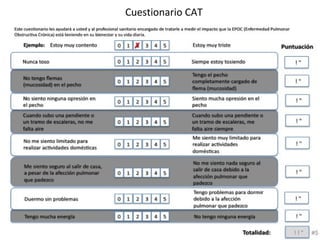 Cuestionario CAT
 