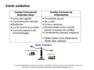 Estrés oxidativo
Environmental Health Fact Sheet. Core Center. Julio 2012. http://www.sph.umich.edu/niehs/ . Centro de
Excelencia en Ciencias de Salud Ambiental de la Universidad de Michigan. Pp 1-2.
 