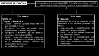 ANATOMÍA PATOLÓGICA
Vías aéreas
Grandes:
Tráquea y bronquios:
• Mucosa bronquial aparece enrojecida, con
gran cantidad de moco.
• Segmentos con zonas sin epitelio, otros
segmentos con la mucosa engrosada.
• Hiperplasia e hipertrofia de las glándulas
bronquiales con ductus dilatados.
• Existen zonas de metaplasia escamosa,
infiltración de polimorfonucleares y linfocitos
en la membrana mucosa. Aumento del
músculo liso y disminución
• del cartílago bronquial.
La mayor parte de los pacientes con EPOC tienen alteraciones, tanto a nivel de
las vías aéreas grandes y pequeñas, como en el parénquima pulmonar.
Vías aérea
Pequeñas:
Constituyen la zona de aumento de la
resistencia al flujo aéreo en pacientes con
EPOC:
• Engrosamiento el estrechamiento y la
obliteración de los bronquiolos.
• Destrucción de las paredes alveolares
por inflamación crónica.
• Dificultad en el desplazamiento del
moco hacia arriba y, por tanto,
disminuyan los mecanismos defensivos
bronquiales.
 