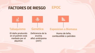 FACTORES DE RIESGO
El daño producido
en el pulmón está
mediado por el
alquitrán
Tabaquismo
Deficiencia de la
enzima
alfa1-antitripsina
(AAT)
Genetica
Humo de leña,
combustible o petroleo
Exposicion a Biomasa
EPOC
 