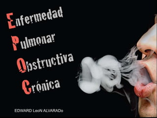www.themegallery.com
EDWARD LeoN ALVARADo
 