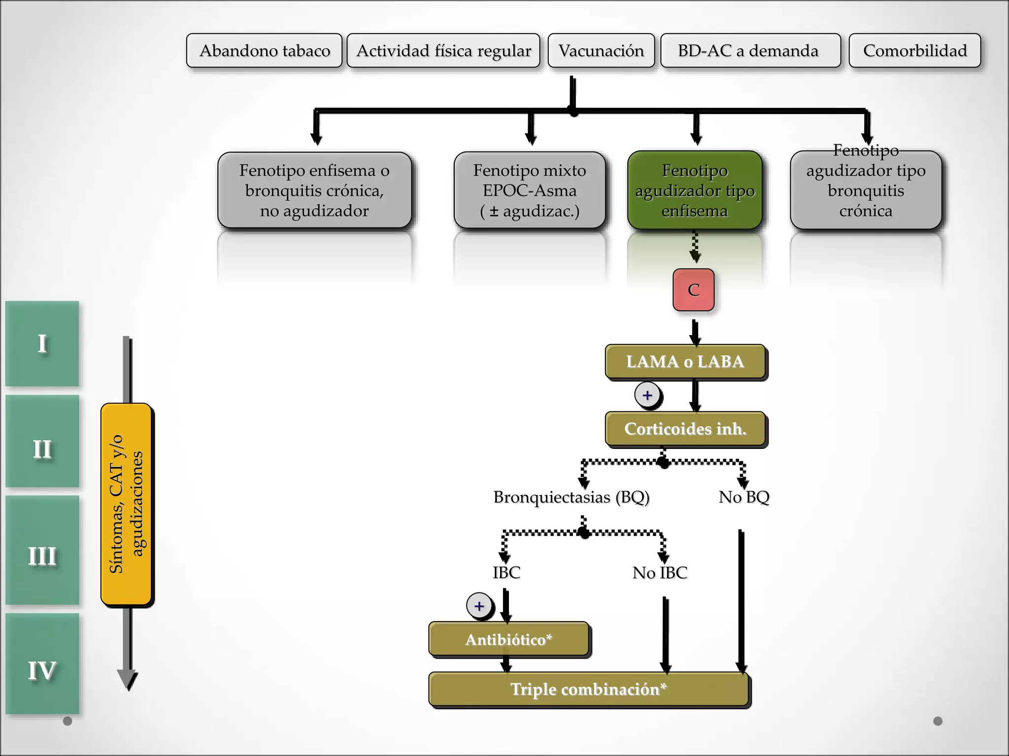 C
Triple combinación*
Antibiótico*
+
Bronquiectasias (BQ) No BQ
IBC No IBC
LAMA o LABA
+
Corticoides inh.
II
III
IV
I
Fenotipo mixto
EPOC-Asma
( ± agudizac.)
Fenotipo enfisema o
bronquitis crónica,
no agudizador
Fenotipo
agudizador tipo
bronquitis
crónica
Fenotipo
agudizador tipo
enfisema
Síntomas,CATy/o
agudizaciones
Actividad física regular Vacunación BD-AC a demandaAbandono tabaco Comorbilidad
 
