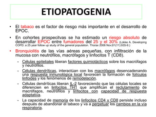 ETIOPATOGENIA
• El tabaco es el factor de riesgo más importante en el desarrollo de
  EPOC.
• En cohortes prospecitvas se ha estimado un riesgo absoluto de
  desarrollar EPOC entre fumadores del 25 y el 30% (Lokke A. Developing
   COPD: a 25 year follow up study of the general population. Thorax 2006 Nov;61(11):935-9.)

• Bronquiolitis de las vías aéreas pequeñas, con infiltración de la
  mucosa con neutrófilos, macrófagos y linfocitos T (CD8).
    - Células epiteliales liberan factores quimiotácticos sobre los macrófagos
      y neutrófilos.
    - Células dendríticas, interactúan con los macrófagos desencadenando
      una respuesta inmunológica local favorecen la formación de folículos
      linfoides y los fenómenos de remodelación.
    - Células dendríticas liberan IL-2 favoreciendo que las células locales se
      diferencien en linfocitos TH1 que amplifican el reclutamiento de
      macrófagos, neutrófilos y linfocitos con capacidad de respuesta
      adaptativa.
    - La capacidad de memoria de los linfocitos CD4 y CD8 persiste incluso
      después de abandonar el tabaco y va a perpetuar los cambios en la vía
      respiratoria.
 