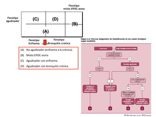 Fenotipo
                                              mixto EPOC-asma


 Fenotipo
agudizador
                      (C)            (D)
                                                       (B)
                              (A)
                   Fenotipo           Fenotipo
                   Enfisema       Bronquitis crónica

             (A) No agudizador (enfisema o b.crónica)
             (B) Mixto EPOC-asma
             (C) Agudizador con enfisema
             (D) Agudizador con bronquitis crónica
 