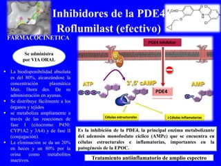 Inhibidores de la PDE4
Roflumilast (efectivo)
Es la inhibición de la PDE4, la principal enzima metabolizante
del adenosín monofosfato cíclico (AMPc) que se encuentra en
células estructurales e inflamatorias, importantes en la
patogénesis de la EPOC.
FARMACOCINETICA
Se administra
por VIA ORAL
 La biodisponibilidad absoluta
es del 80%, alcanzándose la
concentración plasmática
Max. 1hora des. De su
administración en ayunas.
 Se distribuye fácilmente a los
órganos y tejidos
 se metaboliza ampliamente a
través de las reacciones de
fase I (citocromo P450:
CYP1A2 y 3A4) y de fase II
(conjugación).
 La eliminación se da un 20%
en heces y un 80% por la
orina como metabolitos
inactivos. Tratamiento antiinflamatorio de amplio espectro
 