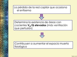La pérdida de la red capilar que ocasiona
  el enfisema



Determina la existencia de áreas con
cocientes VA/Q elevados (más ventilación
que perfusión)




Contribuyen a aumentar el espacio muerto
fisiológico
 