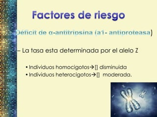 )

– La tasa esta determinada por el alelo Z

  • Individuos homocigotos[] disminuida
  • Individuos heterocigotos[] moderada.
 
