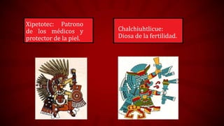 Xipetotec: Patrono
de los médicos y
protector de la piel.

Chalchiuhtlicue:
Diosa de la fertilidad.

 