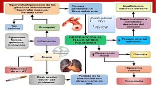 Alveolar
Función pulmonar
FEV1
FEV1/CVF
 