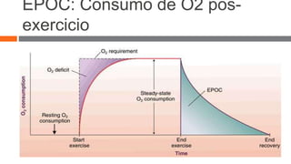 EPOC: Consumo de O2 pos-exercicio 
 