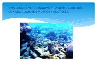 UNA LAGUNA VERDE INMÓVIL Y PACIENTE CONFORME
CON SUS ALGAS SUS MUSGOS Y SUS PECES,
 