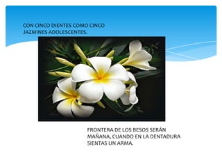 CON CINCO DIENTES COMO CINCO
JAZMINES ADOLESCENTES.




                      FRONTERA DE LOS BESOS SERÁN
                      MAÑANA, CUANDO EN LA DENTADURA
                      SIENTAS UN ARMA.
 