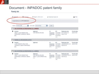 Document -  INPADOC patent family 