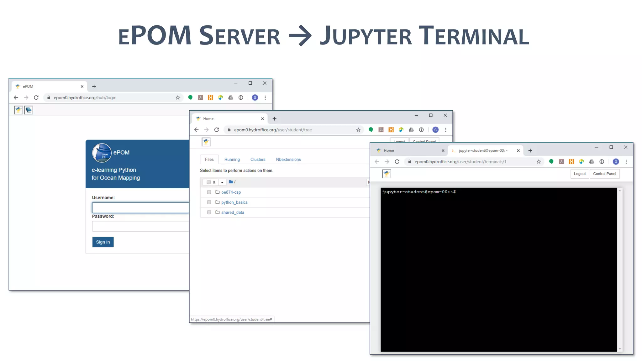 EPOM SERVER → JUPYTER TERMINAL
 