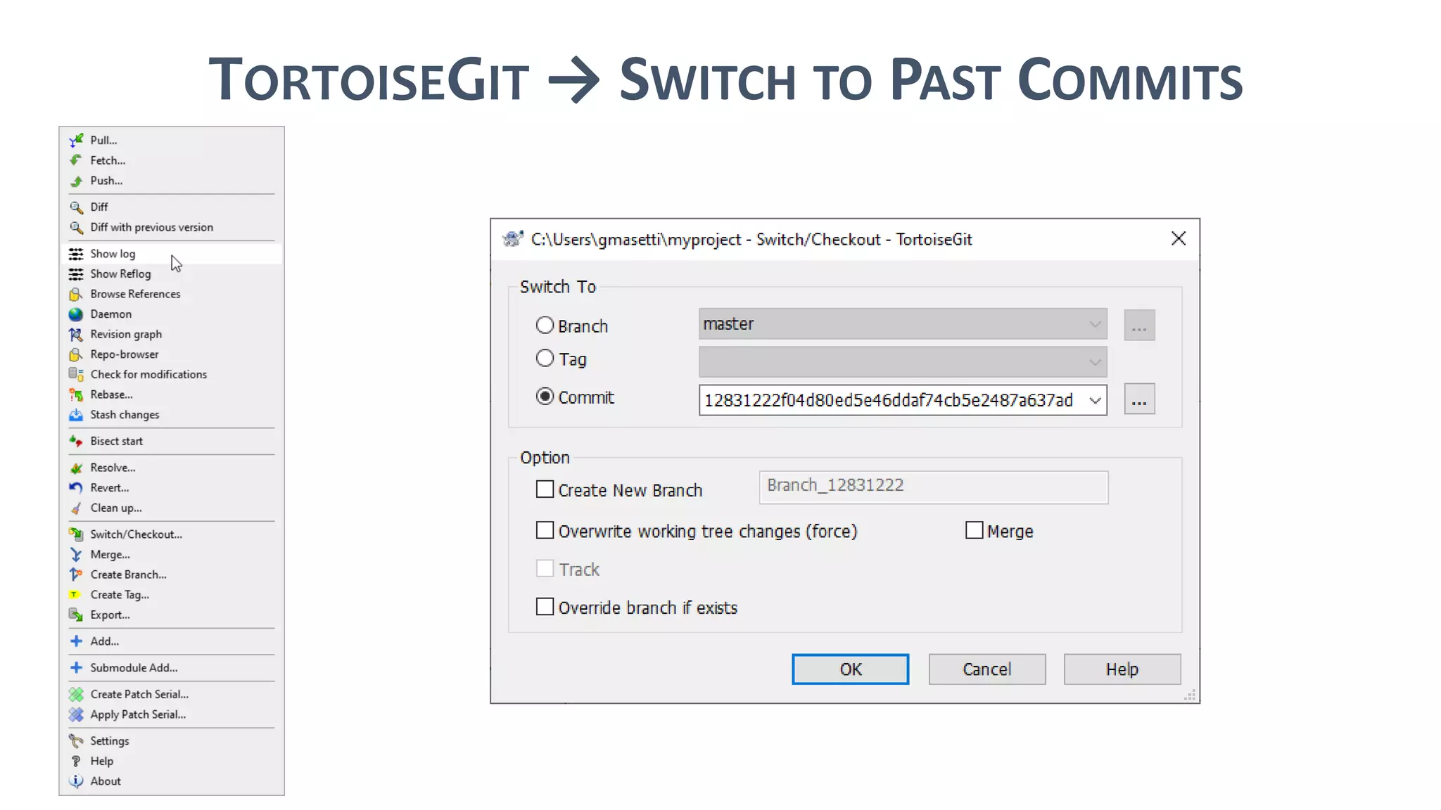 TORTOISEGIT → SWITCH TO PAST COMMITS
 
