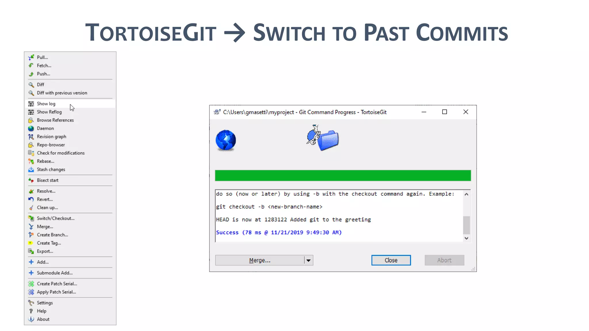 TORTOISEGIT → SWITCH TO PAST COMMITS
 