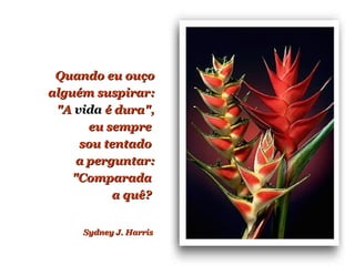 Quando eu ouço alguém suspirar: "A  vida  é dura", eu sempre  sou tentado  a perguntar: "Comparada  a quê?  Sydney J. Harris 