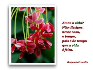 Benjamin Franklin Amas a  vida ? Não dissipes, nesse caso,  o tempo,  pois é de tempo que a  vida  é feita. 