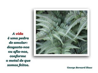 George Bernard Shaw A  vida   é uma pedra de amolar: desgasta-nos ou afia-nos, conforme  o metal de que somos feitos. 
