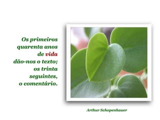 Planeta PowerPoint
temos cerca de Duas mil mensagens em powerpoint.
Para receber, enviar e compartilhar estas e outras mensagens visite:
www.planetapowerpoint.com.br
Os primeiros
quarenta anos
de vida
dão-nos o texto;
os trinta
seguintes,
o comentário.
Arthur Schopenhauer
 