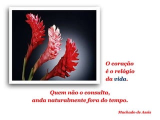 Planeta PowerPoint
temos cerca de Duas mil mensagens em powerpoint.
Para receber, enviar e compartilhar estas e outras mensagens visite:
www.planetapowerpoint.com.br
O coração
é o relógio
da vida.
Machado de Assis
Quem não o consulta,
anda naturalmente fora do tempo.
 