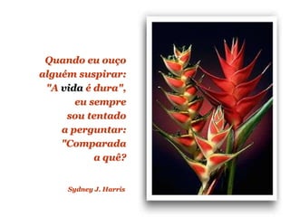 Planeta PowerPoint
temos cerca de Duas mil mensagens em powerpoint.
Para receber, enviar e compartilhar estas e outras mensagens visite:
www.planetapowerpoint.com.br
Quando eu ouço
alguém suspirar:
"A vida é dura",
eu sempre
sou tentado
a perguntar:
"Comparada
a quê?
Sydney J. Harris
 
