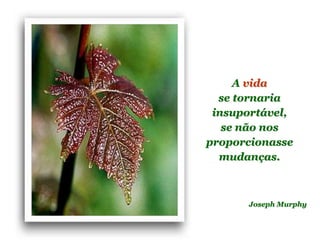 Planeta PowerPoint
temos cerca de Duas mil mensagens em powerpoint.
Para receber, enviar e compartilhar estas e outras mensagens visite:
www.planetapowerpoint.com.br
A vida
se tornaria
insuportável,
se não nos
proporcionasse
mudanças.
Joseph Murphy
 