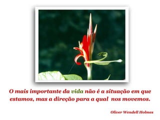 Planeta PowerPoint
temos cerca de Duas mil mensagens em powerpoint.
Para receber, enviar e compartilhar estas e outras mensagens visite:
www.planetapowerpoint.com.br
O mais importante da vida não é a situação em que
estamos, mas a direção para a qual nos movemos.
Oliver Wendell Holmes
 