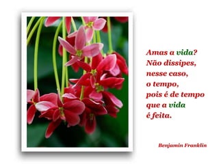 Planeta PowerPoint
temos cerca de Duas mil mensagens em powerpoint.
Para receber, enviar e compartilhar estas e outras mensagens visite:
www.planetapowerpoint.com.br
Benjamin Franklin
Amas a vida?
Não dissipes,
nesse caso,
o tempo,
pois é de tempo
que a vida
é feita.
 