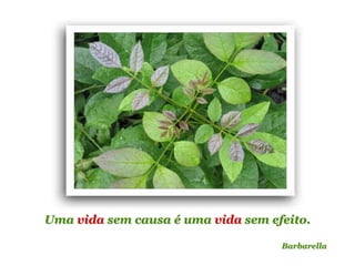 Planeta PowerPoint
temos cerca de Duas mil mensagens em powerpoint.
Para receber, enviar e compartilhar estas e outras mensagens visite:
www.planetapowerpoint.com.br
Uma vida sem causa é uma vida sem efeito.
Barbarella
 