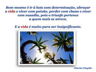 Planeta PowerPoint
temos cerca de Duas mil mensagens em powerpoint.
Para receber, enviar e compartilhar estas e outras mensagens visite:
www.planetapowerpoint.com.br
Bom mesmo é ir à luta com determinação, abraçar
a vida e viver com paixão, perder com classe e viver
com ousadia, pois o triunfo pertence
a quem mais se atreve.
E a vida é muito para ser insignificante.
Charles Chaplin
 