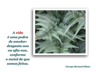 Planeta PowerPoint
temos cerca de Duas mil mensagens em powerpoint.
Para receber, enviar e compartilhar estas e outras mensagens visite:
www.planetapowerpoint.com.br
George Bernard Shaw
A vida
é uma pedra
de amolar:
desgasta-nos
ou afia-nos,
conforme
o metal de que
somos feitos.
 